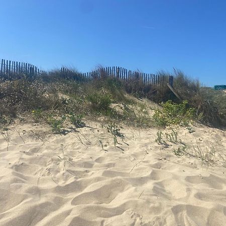 Vue Sur Dunes ! 상가트 외부 사진