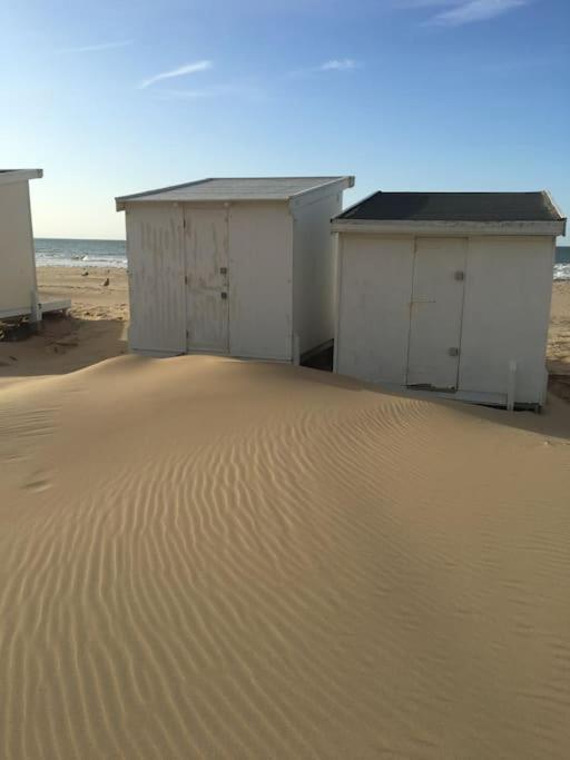 Vue Sur Dunes ! 상가트 외부 사진